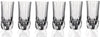 Adagio Crystal Highball Drinking Glasses( Set of 6)